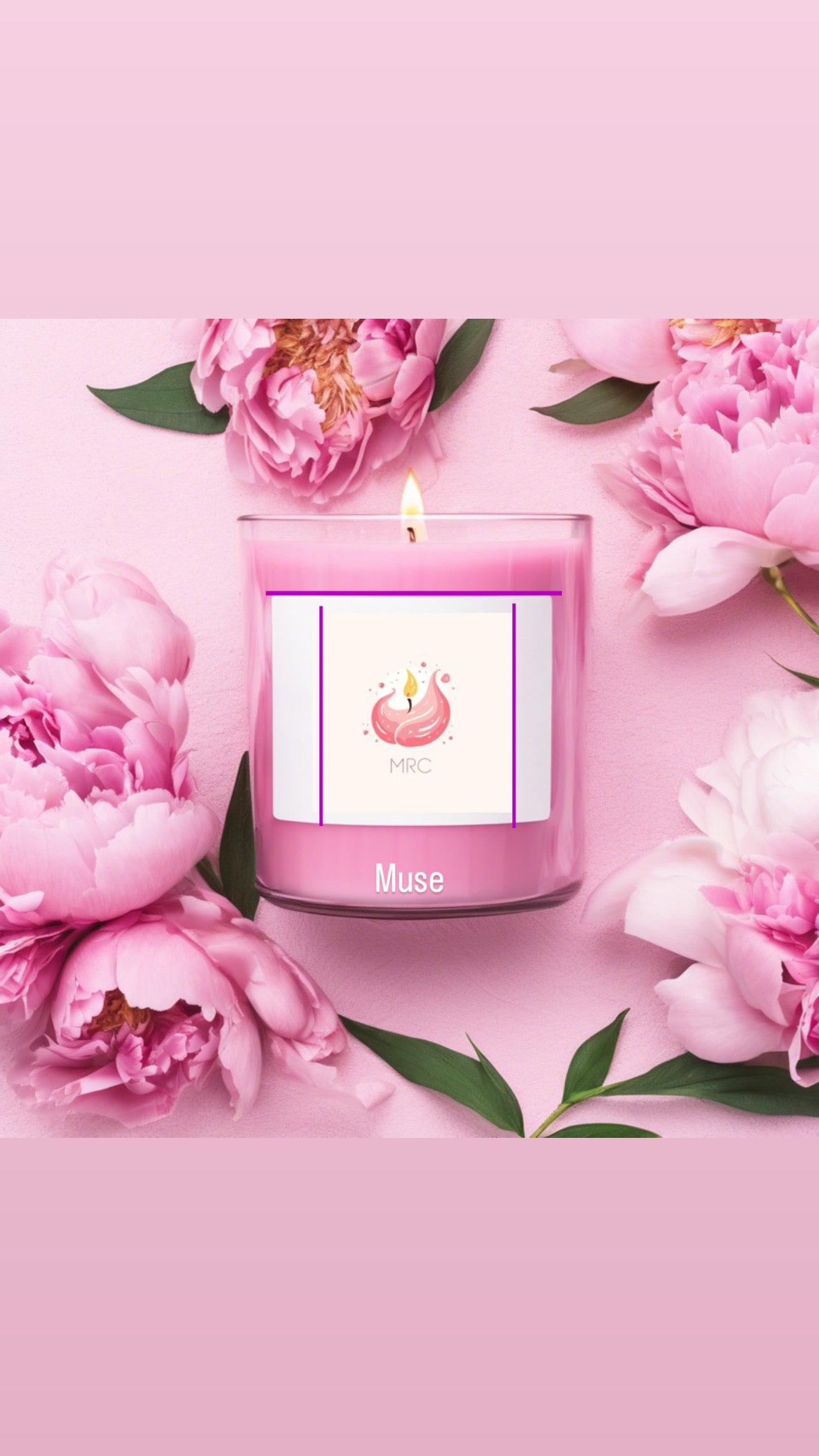 Comfy Cozy & Muse Bundle